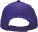 REAR VIEW OF BASEBALL CAP WITH PIPING
